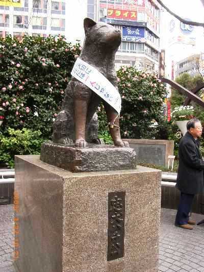 Hachico-chú chó 10 năm đợi chủ quay về! Hachiko-in-shubuya-tokyo-japan-in-dog-statues